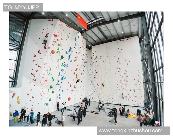 深圳攀岩队创历史新高攀岩状态排名引发广泛关注与热议